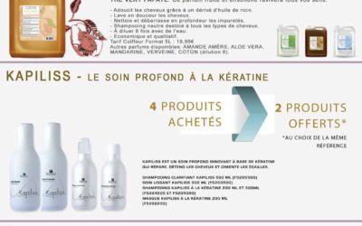 Fauvert Promociones Enero 2019