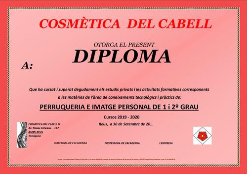DIPLOMA-COSMETICA-DEL-CABELL_2