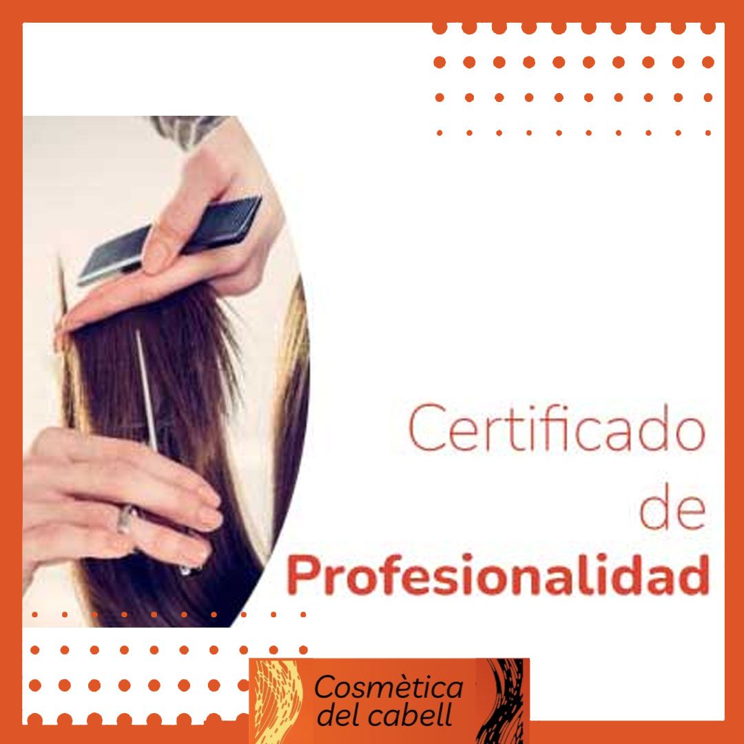 certificado-de-profesionalidad-peluquería-reus