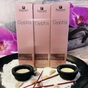 Fauvert Professionnel Pack x3 Gyptis