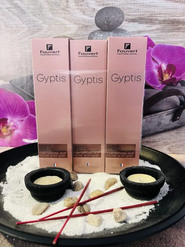 Fauvert Professionnel Pack x3 Gyptis