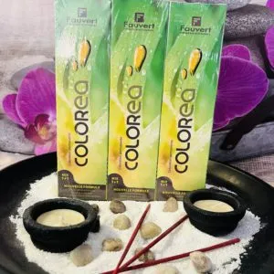 Fauvert Professionnel Pack x3 Coloration Permanente Colorea