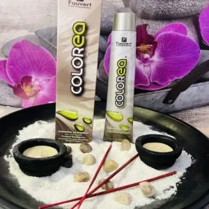 Fauvert Professionnel Coloration Permanente Colorea