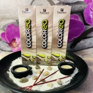 Fauvert Professionnel Pack x3 Coloration Permanente Colorea