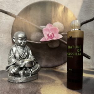 Fauvert Professionnel Nature of Massilia Bio Shampoo Régulateur
