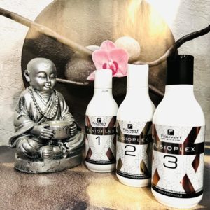 Fauvert Professionnel Pack Fusioplex