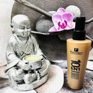 Fauvert Professionnel 10 en 1