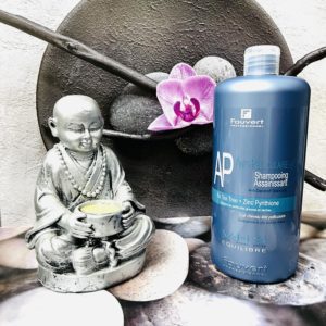 Fauvert Professionnel Anti-Pelliculaire Shampooing Assainissant