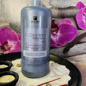 Fauvert Professionnel Oxydant Dejaunisseur 30 vol