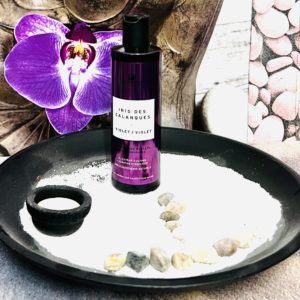 Fauvert Professionnel Iris des Calanques Violet