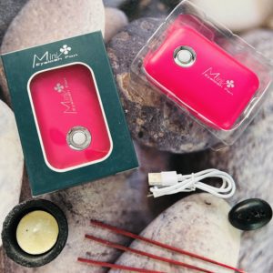 Mini Eyelash Fan